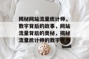 揭秘网站流量统计师，数字背后的故事，网站流量背后的奥秘，揭秘流量统计师的数字世界