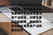 揭秘网站流量购买背后的游戏，如何利用付费流量提升游戏知名度与用户活跃度，付费流量背后的策略，揭秘提升游戏知名度和用户活跃度的秘密