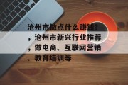 沧州市做点什么赚钱?,沧州市新兴行业推荐,做电商、互联网营销、教育培训等