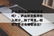 庐山有什么赚钱的项目吗?,庐山旅游服务收入统计,除了观景、拍照之外还有哪些途径?