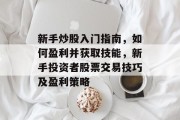 新手炒股入门指南，如何盈利并获取技能，新手投资者股票交易技巧及盈利策略