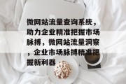 微网站流量查询系统，助力企业精准把握市场脉搏，微网站流量洞察，企业市场脉搏精准把握新利器