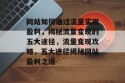网站如何通过流量实现盈利，揭秘流量变现的五大途径，流量变现攻略，五大途径揭秘网站盈利之道