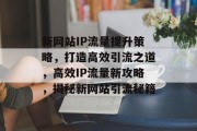 新网站IP流量提升策略，打造高效引流之道，高效IP流量新攻略，揭秘新网站引流秘籍