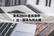 龙头20cm直线涨停！这一板块为何火爆