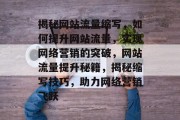 揭秘网站流量缩写，如何提升网站流量，实现网络营销的突破，网站流量提升秘籍，揭秘缩写技巧，助力网络营销飞跃