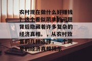 农村现在做什么好赚钱？这个看似简单的问题背后隐藏着许多复杂的经济真相。，从农村致富的几种选择，一个简单的经济真相揭示