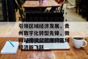 贵州微网站建设公司，助力企业数字化转型，引领区域经济发展，贵州数字化转型先锋，微网站建设公司推动区域经济新飞跃