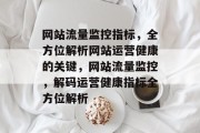 网站流量监控指标，全方位解析网站运营健康的关键，网站流量监控，解码运营健康指标全方位解析