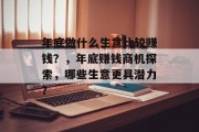 年底做什么生意比较赚钱？，年底赚钱商机探索，哪些生意更具潜力？