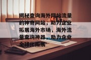 揭秘查询海外网站流量的神奇网站，助力企业拓展海外市场，海外流量查询神器，助力企业全球化拓展