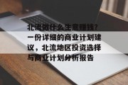 北流做什么生意赚钱？一份详细的商业计划建议，北流地区投资选择与商业计划分析报告
