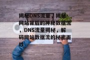 揭秘DNS流量，揭秘网站背后的神秘数据流，DNS流量揭秘，解码网站数据流的秘密面纱