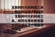 互联网时代的网络工具，筛选网站插件的探索，互联网时代的网络工具，如何选择和使用筛选网站插件进行更高效的浏览
