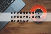 山村做些什么赚钱？，山村致富之路，常见赚钱方式的探讨