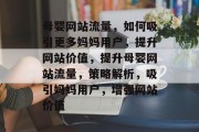 母婴网站流量，如何吸引更多妈妈用户，提升网站价值，提升母婴网站流量，策略解析，吸引妈妈用户，增强网站价值