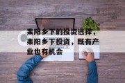 耒阳乡下的投资选择,耒阳乡下投资,既有产业也有机会