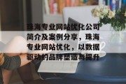 珠海专业网站优化公司简介及案例分享，珠海专业网站优化，以数据驱动的品牌塑造与提升
