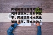 揭秘网站流量成本，如何降低投入，提升转化率，网站流量成本优化策略揭秘，降本增效之道