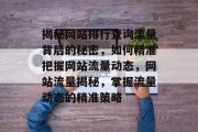 揭秘网站排行查询流量背后的秘密，如何精准把握网站流量动态，网站流量揭秘，掌握流量动态的精准策略