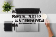 青岛SEO网站优化的实战指南，青岛SEO，从入门到精通的实战指南