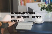 B2B网站优化策略，提升用户体验，助力企业增长