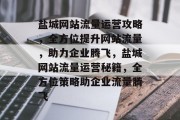 盐城网站流量运营攻略，全方位提升网站流量，助力企业腾飞，盐城网站流量运营秘籍，全方位策略助企业流量腾飞