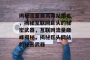揭秘流量最高网站排名，揭秘互联网巨头的秘密武器，互联网流量巅峰揭秘，揭秘巨头网站的秘密武器