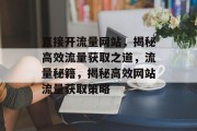 直接开流量网站，揭秘高效流量获取之道，流量秘籍，揭秘高效网站流量获取策略