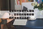 宝应农村做些什么赚钱?,宝应农村有哪些赚钱的项目可以选择? 宝应农村做些什么赚钱?,宝应农村有哪些赚钱的项目可以选择?