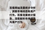 百度网站流量统计分析，洞察市场动态和用户行为，百度流量统计报告，深度解析市场动态与用户行为