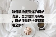 如何轻松找到你的网站流量，全方位策略解析，网站流量轻松获取策略全解析