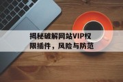揭秘破解网站VIP权限插件，风险与防范