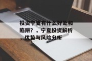 投资宁夏有什么好处和陷阱?,宁夏投资解析,优势与风险分析