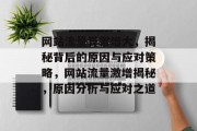 网站流量异常增大，揭秘背后的原因与应对策略，网站流量激增揭秘，原因分析与应对之道