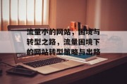 流量小的网站，困境与转型之路，流量困境下的网站转型策略与出路