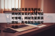 揭秘让流量消失网站，揭秘其背后的真相与应对策略，揭秘流量黑洞网站，真相剖析与应对攻略