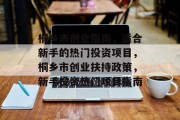 桐乡市创业指南，适合新手的热门投资项目，桐乡市创业扶持政策，新手投资热门项目指南