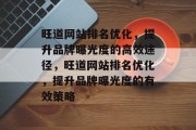 旺道网站排名优化，提升品牌曝光度的高效途径，旺道网站排名优化，提升品牌曝光度的有效策略