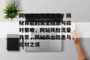 网站风险流量异常，揭秘背后的安全隐患与应对策略，网站风险流量异常，揭秘安全隐患与应对之道