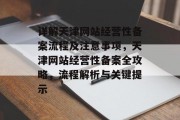 详解天津网站经营性备案流程及注意事项，天津网站经营性备案全攻略，流程解析与关键提示