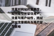 流量对网站的重要性，如何吸引并留住用户，流量与用户粘性，揭秘网站流量提升与用户留存策略