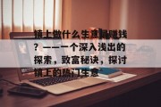 镇上做什么生意最赚钱?——一个深入浅出的探索,致富秘诀,探讨镇上的热门生意