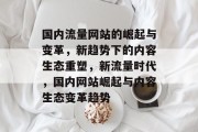 国内流量网站的崛起与变革，新趋势下的内容生态重塑，新流量时代，国内网站崛起与内容生态变革趋势