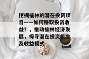 挖掘榆林的潜在投资项目——如何赚取投资收益？，推动榆林经济发展，探寻潜在投资机会及收益模式