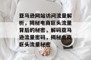 亚马逊网站访问流量解析，揭秘电商巨头流量背后的秘密，解码亚马逊流量密码，揭秘电商巨头流量秘密