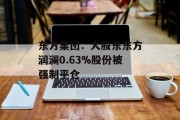 东方集团：大股东东方润澜0.63%股份被强制平仓
