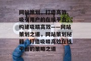 网站策划，打造高效、吸引用户的在线平台，构建吸睛高效——网站策划之道，网站策划秘籍，打造吸睛高效在线平台的策略之道