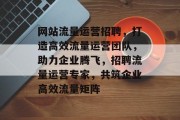 网站流量运营招聘，打造高效流量运营团队，助力企业腾飞，招聘流量运营专家，共筑企业高效流量矩阵