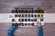 网站如何通过流量赚钱，揭秘高效流量变现之道，流量变现秘籍，网站高效盈利攻略